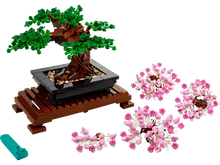 Load image into Gallery viewer, Bonsai Tree - 10281