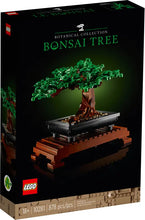 Load image into Gallery viewer, Bonsai Tree - 10281