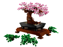 Load image into Gallery viewer, Bonsai Tree - 10281