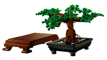 Load image into Gallery viewer, Bonsai Tree - 10281