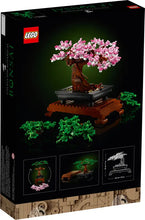 Load image into Gallery viewer, Bonsai Tree - 10281