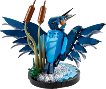 Load image into Gallery viewer, Kingfisher Bird - 10331