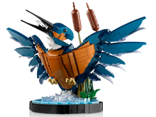 Load image into Gallery viewer, Kingfisher Bird - 10331