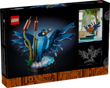 Load image into Gallery viewer, Kingfisher Bird - 10331