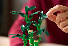 Load image into Gallery viewer, LEGO® Lucky Bamboo - 10344