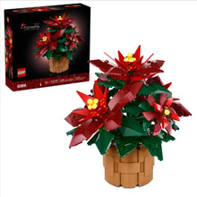 Load image into Gallery viewer, Poinsettia-10370