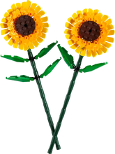 Load image into Gallery viewer, Sunflowers - 40524