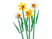 Load image into Gallery viewer, Daffodils - 40747