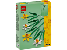 Load image into Gallery viewer, Daffodils - 40747