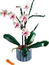 Load image into Gallery viewer, Orchids - 10311