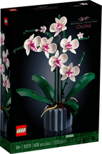 Load image into Gallery viewer, Orchids - 10311