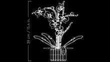 Load image into Gallery viewer, Orchids - 10311