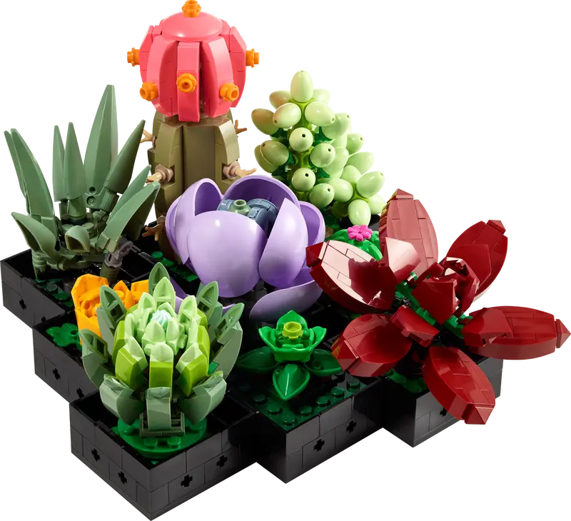craigslist lego succulent set Succulents