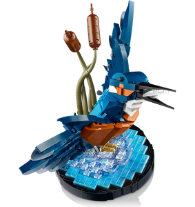 Kingfisher Bird - 10331