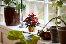 Load image into Gallery viewer, Poinsettia-10370
